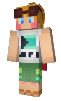 Minecraft skin VcMc
