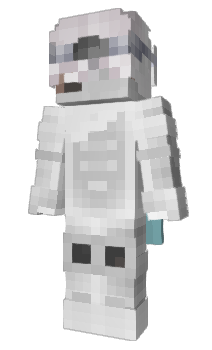 Minecraft skin S1mplePVP