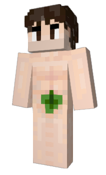 Minecraft skin LOOPJ