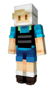 Minecraft skin W212