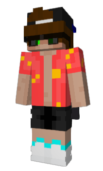 Minecraft skin PELLEPELIPELLE
