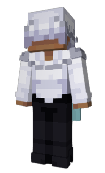 Minecraft skin UNlON