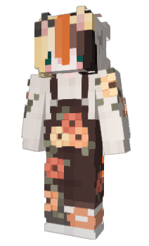 Minecraft skin FormulaX