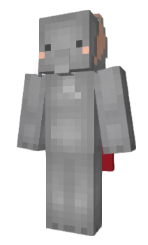 Minecraft skin purent