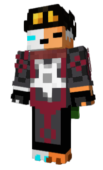 Minecraft skin _arch