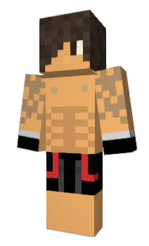 Minecraft skin Metaux