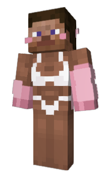 Minecraft skin maiD_girl