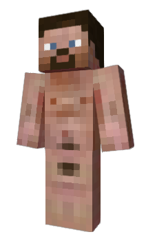 Minecraft skin PolyU