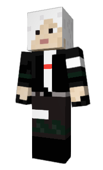 Minecraft skin ForDL