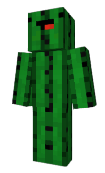 Minecraft skin cactus00