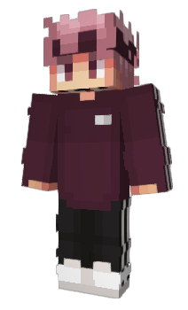 Minecraft skin iSett