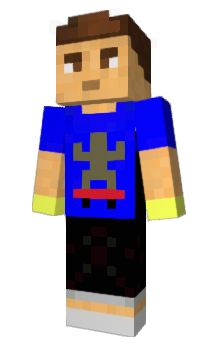 Minecraft skin Strandkorb