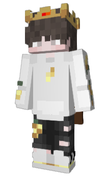 Minecraft skin RokT09