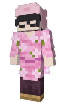 Minecraft skin aceita