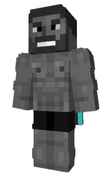 Minecraft skin The_Hypixel_Pit