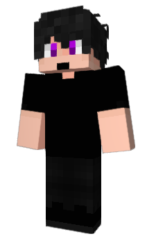 Minecraft skin PoziN
