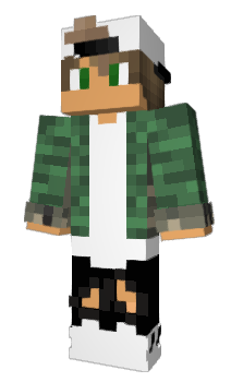 Minecraft скин по нику UserInterface