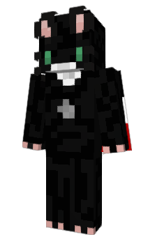 Minecraft скин по нику catde