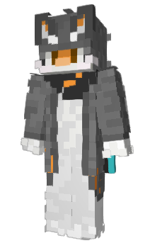 Minecraft skin dei_mp3