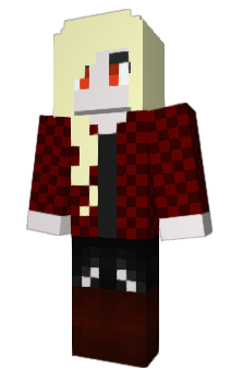 Minecraft skin RaceCat