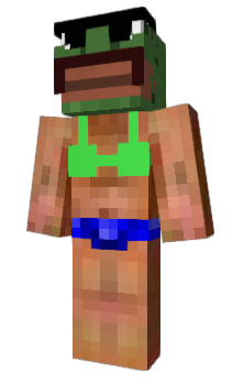 Minecraft skin hangay