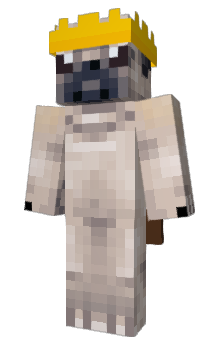 Minecraft скін по ніку Swightt_