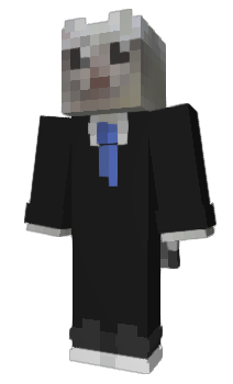 Minecraft skin vrls