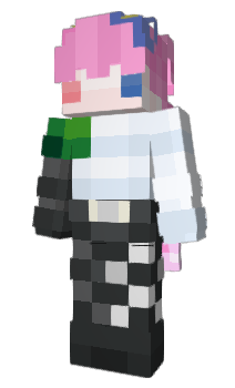Minecraft skin HasF