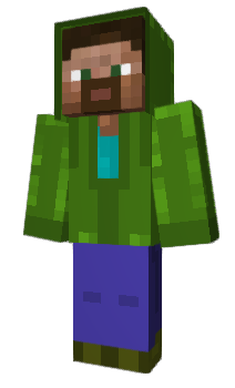 Minecraft skin dpqb