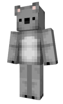 Minecraft skin cam__