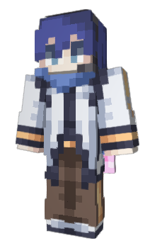 Minecraft skin staashj