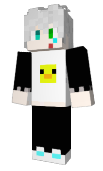 Minecraft skin Bicn