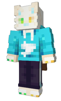 Minecraft skin _Arch