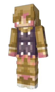 Minecraft skin SeiinnYT