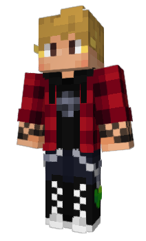 Minecraft скин по нику SolidarityGaming