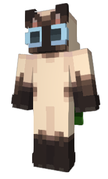 Minecraft скин по нику mmnnm
