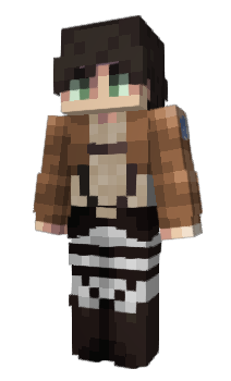 Minecraft skin Cam24011