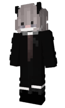 Minecraft skin Heywe