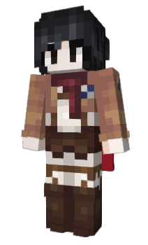 Minecraft skin Pollokan