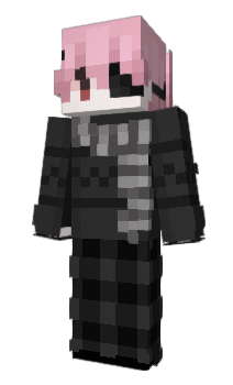 Minecraft skin EveryFinalKill