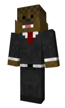 Minecraft skin Snrs