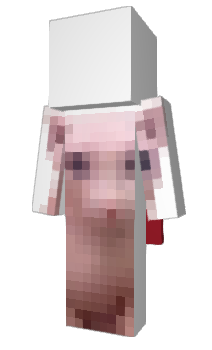 Minecraft skin 6200