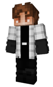 Minecraft skin BeeniMC