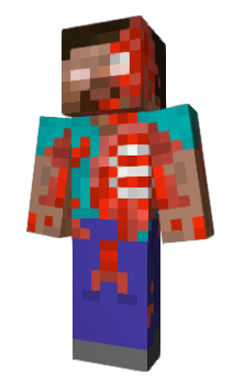 Minecraft скін по ніку TodorokiShouto