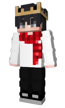 Minecraft skin Aklads