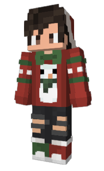 Minecraft skin FinalCode