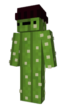 Minecraft skin PchelBJJJ