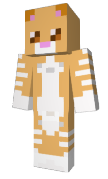 Minecraft skin cat505