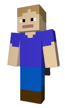 Minecraft skin bdzbasicbricks