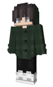 Minecraft skin houth